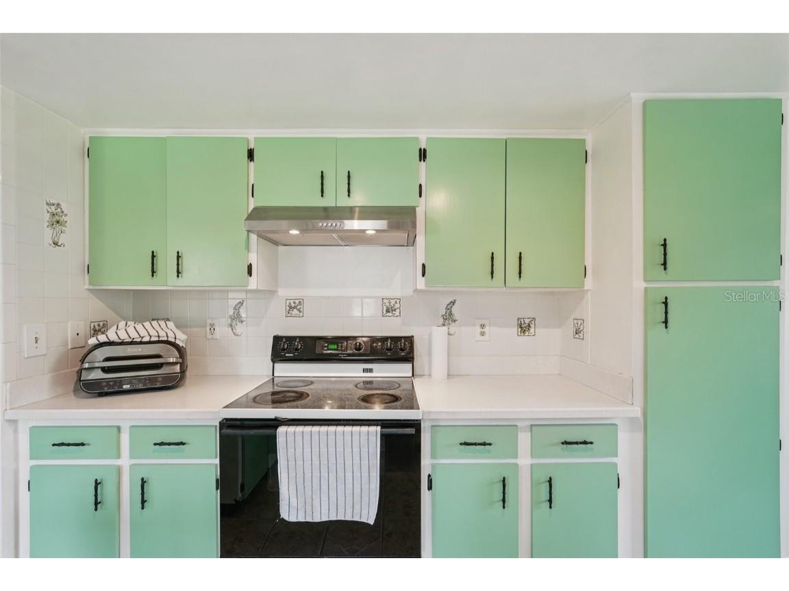 1604 Leland Drive Sun City Center FL 33573 TB8427797 image10