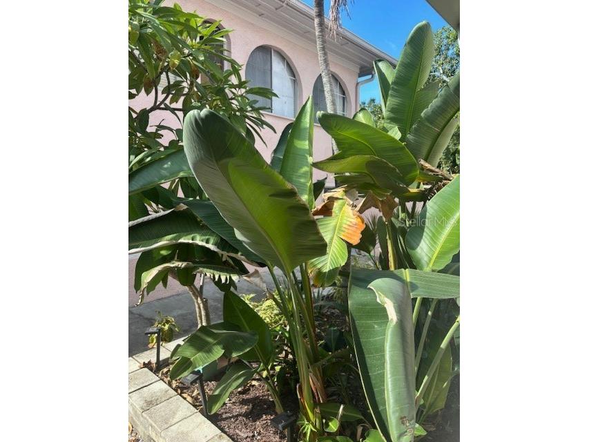 1604 N Osceola Avenue Clearwater FL 33755 TB8440899 image35