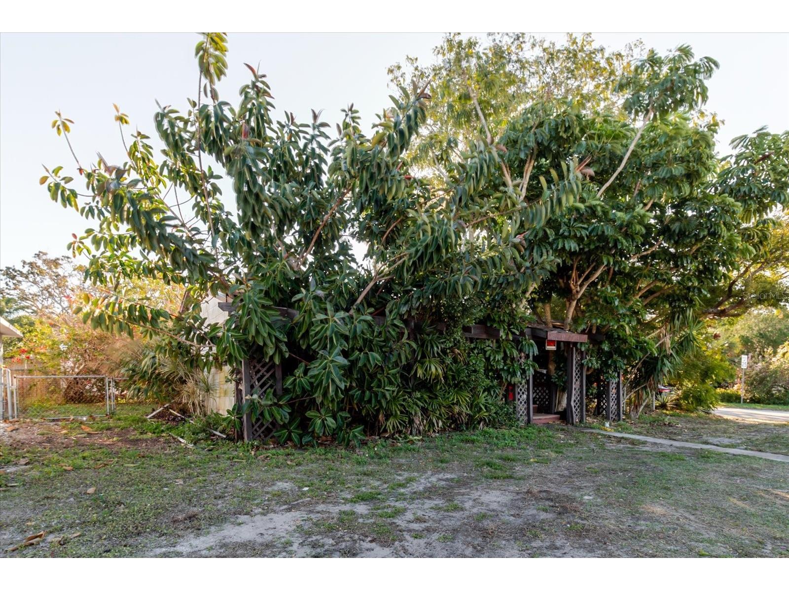 1604 Omaha Street Palm Harbor FL 34683 TB8466514 image11