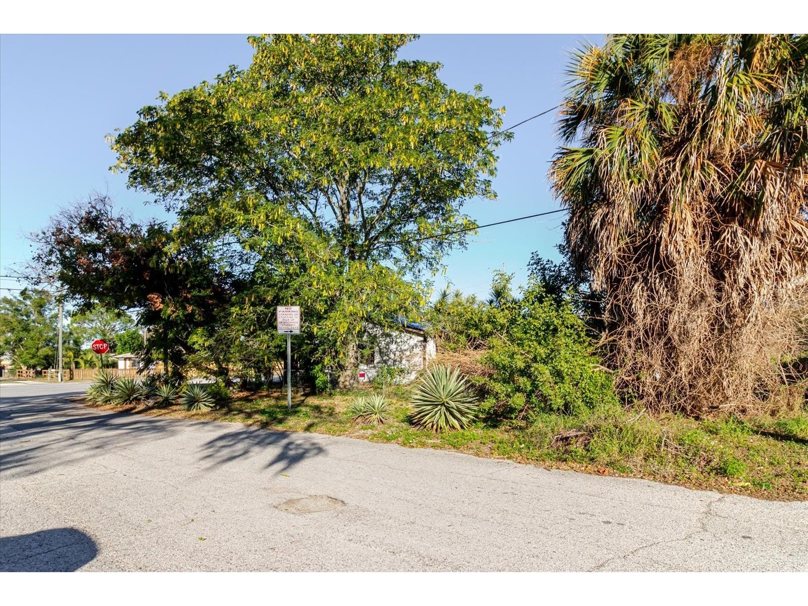 1604 Omaha Street Palm Harbor FL 34683 TB8466514 image12