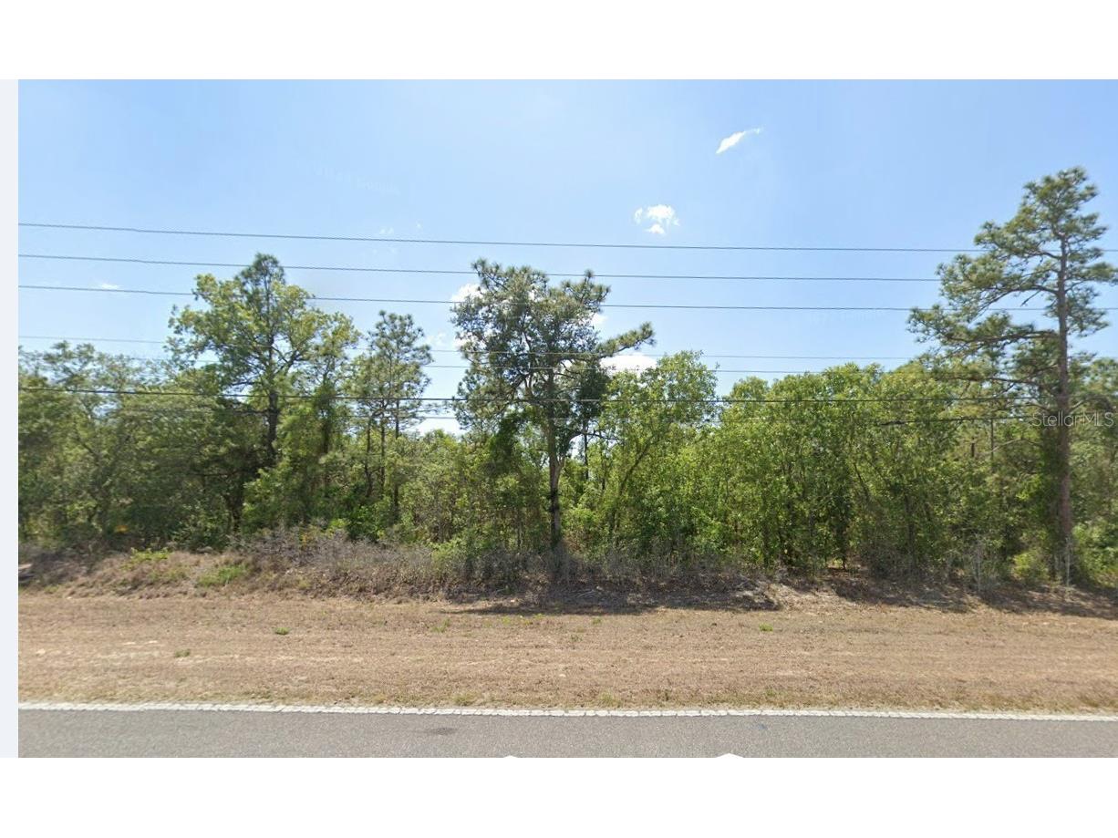 1604 S Rock Crusher Road Homosassa FL 34448 W7856049 image1