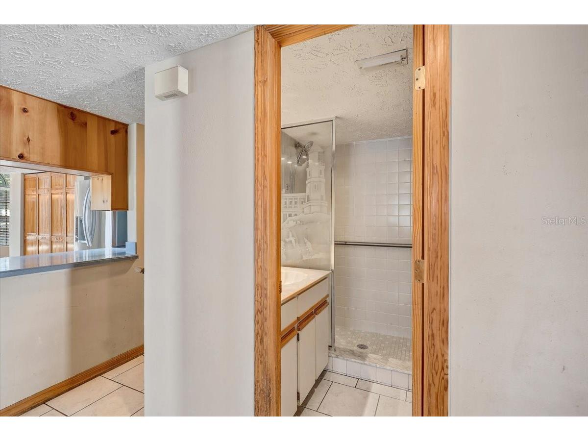 1604 Southwind Drive Brandon FL 33510 TB8488761 image33