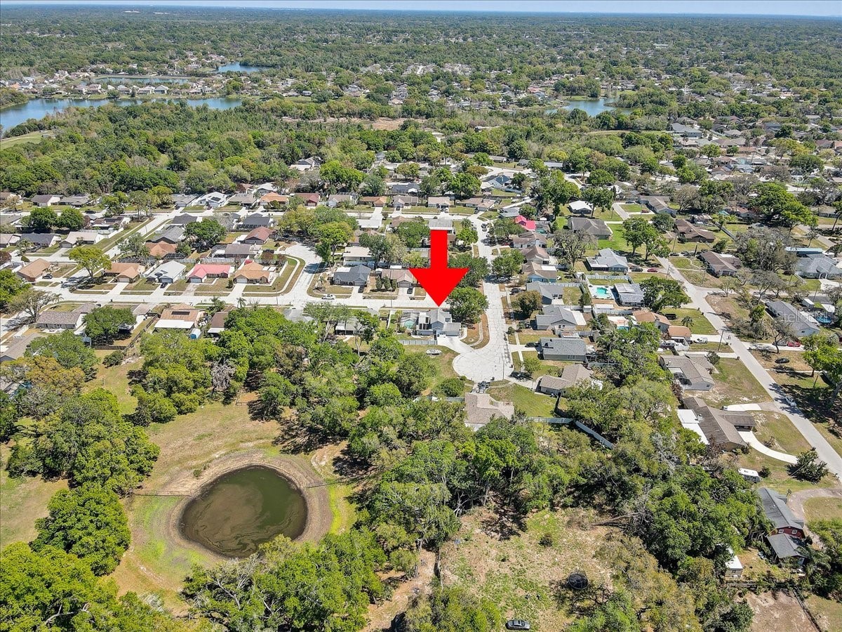 1604 Southwind Drive Brandon FL 33510 TB8488761 image54