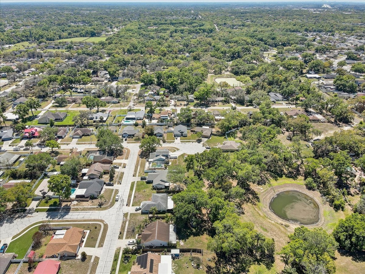 1604 Southwind Drive Brandon FL 33510 TB8488761 image57