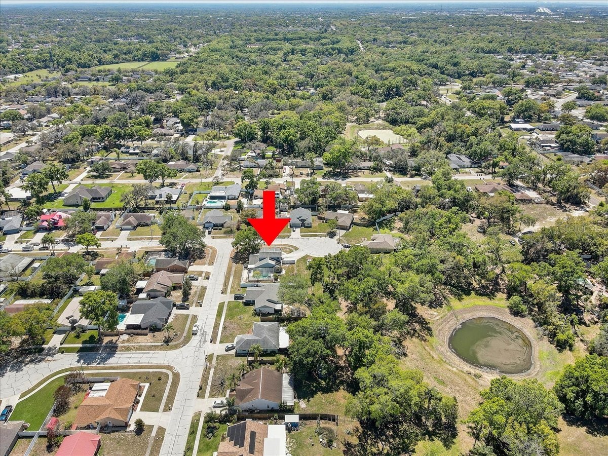 1604 Southwind Drive Brandon FL 33510 TB8488761 image59