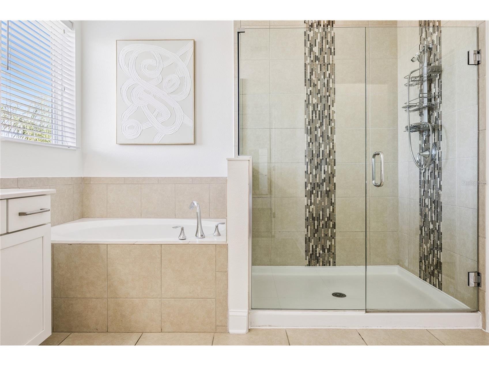 16044 Citrus Knoll Drive Winter Garden FL 34787 O6419284 image39