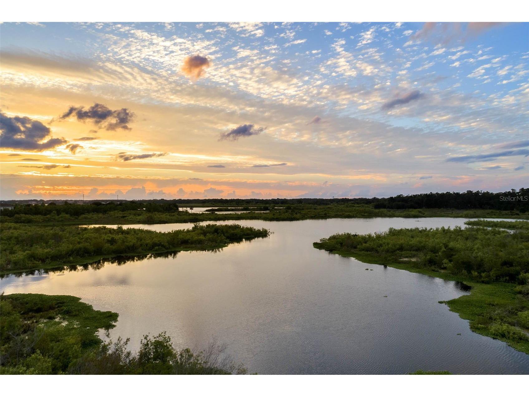 16044 Citrus Knoll Drive Winter Garden FL 34787 O6419284 image87