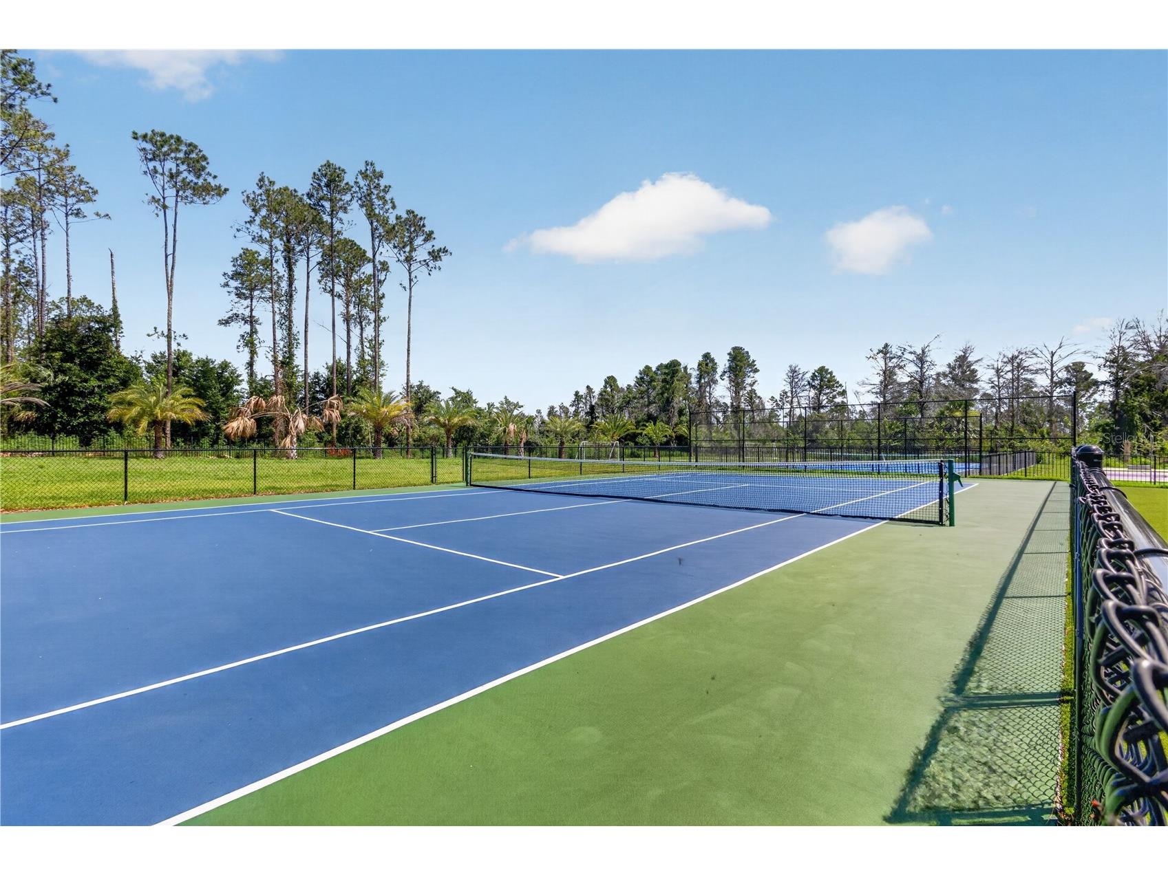 16044 Pendio Drive Montverde FL 34756 O6410061 image5