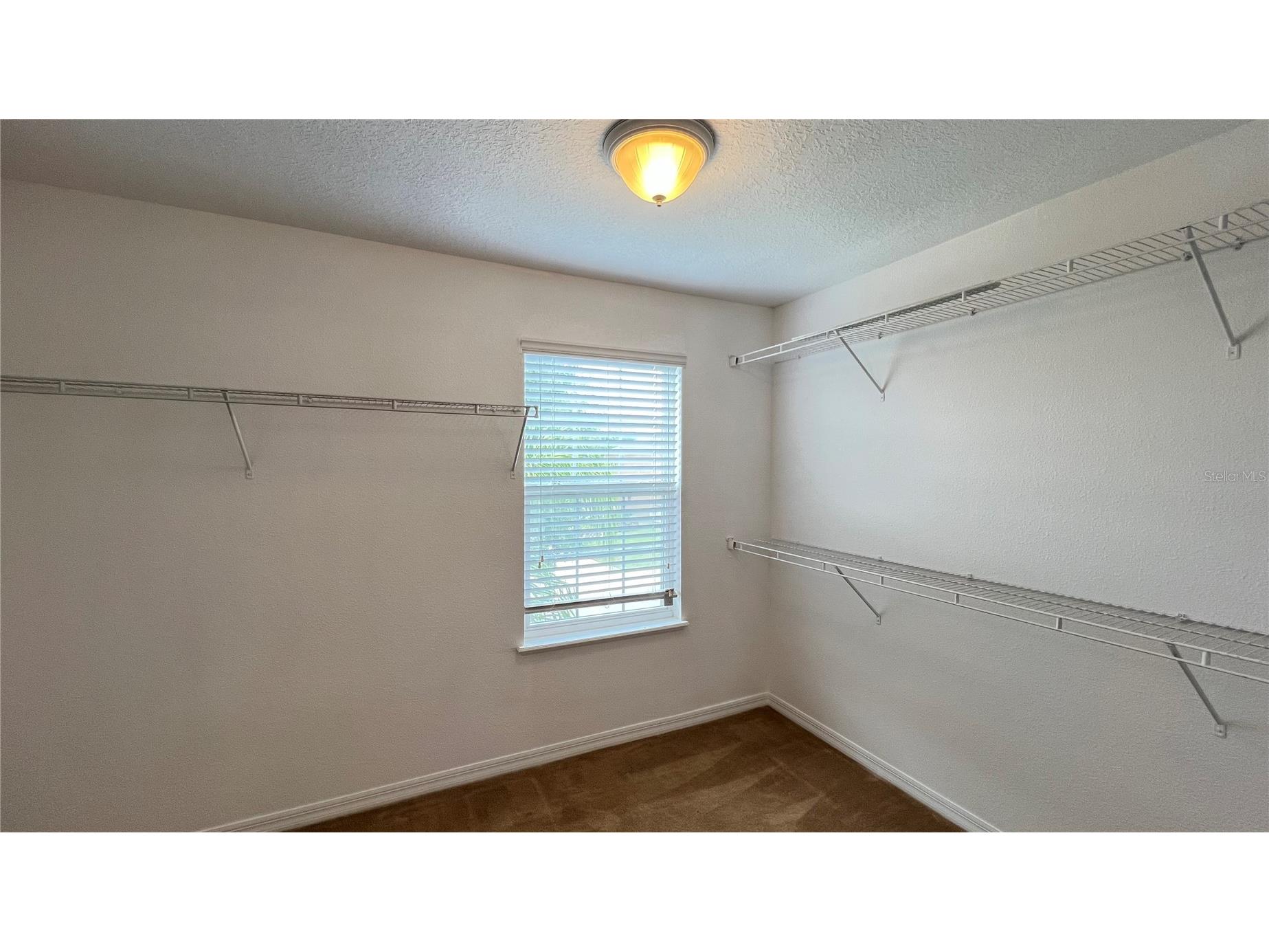 16048 Yelloweyed Drive Clermont FL 34714 S5146447 image25