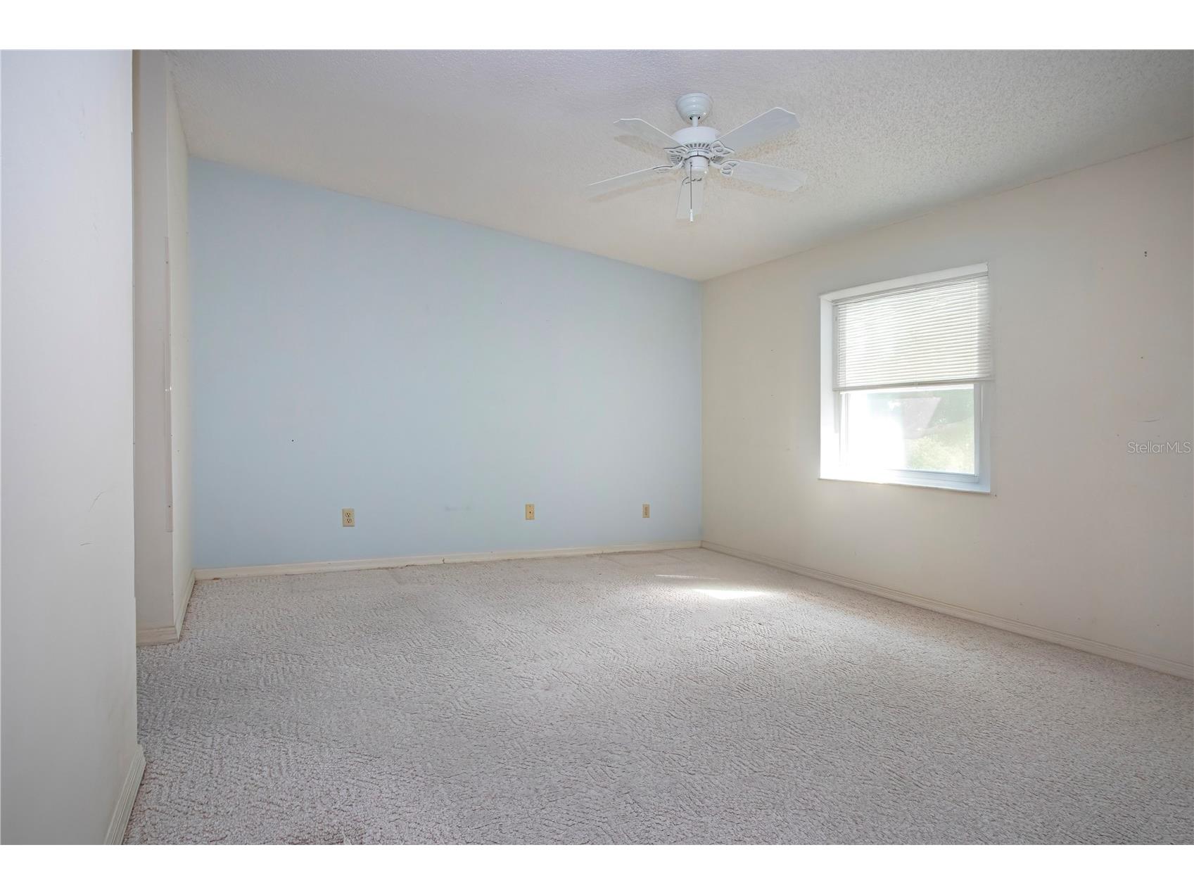 1605 Dower Way Sun City Center FL 33573 TB8481880 image21
