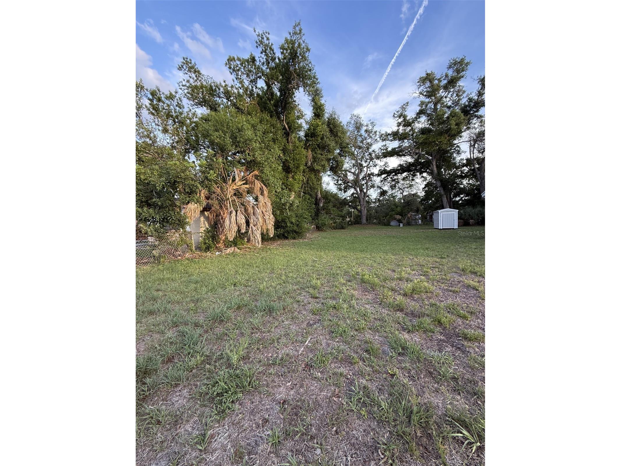 1605 E 33rd Avenue Tampa FL 33610 TB8513880 image5