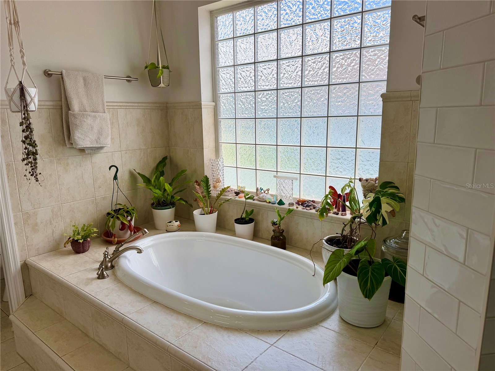 1605 Gulf Road Tarpon Springs FL 34689 TB8525355 image28