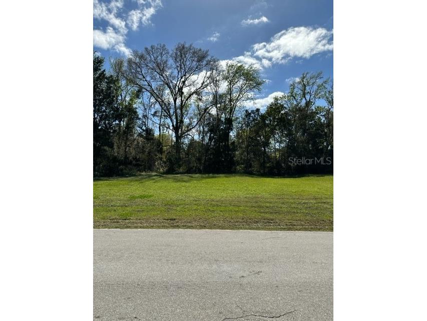 1605 Juno Trail Astor FL 32102 FC289434 image1