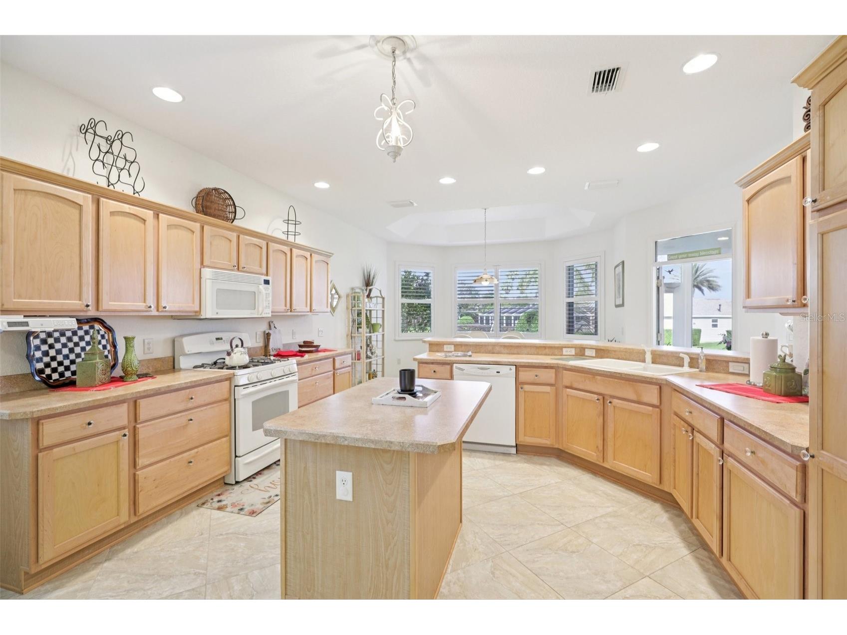 1605 Lynchburg Loop The Villages FL 32162 G5111048 image19