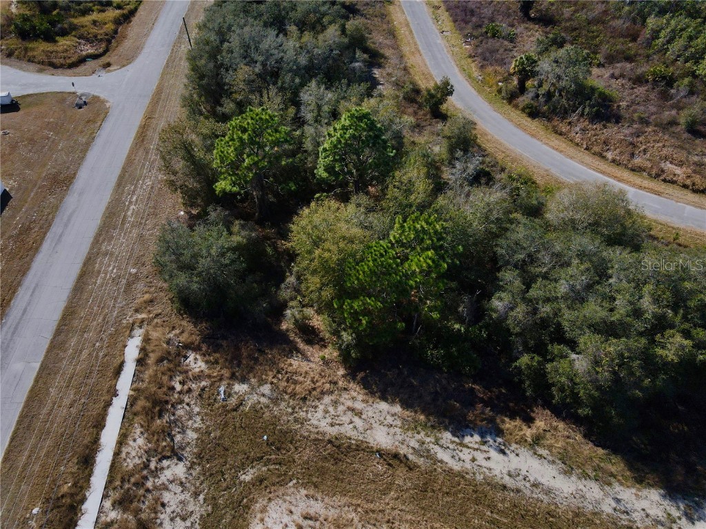 1605 Marlin Drive Poinciana FL 34759 A4632349 image3
