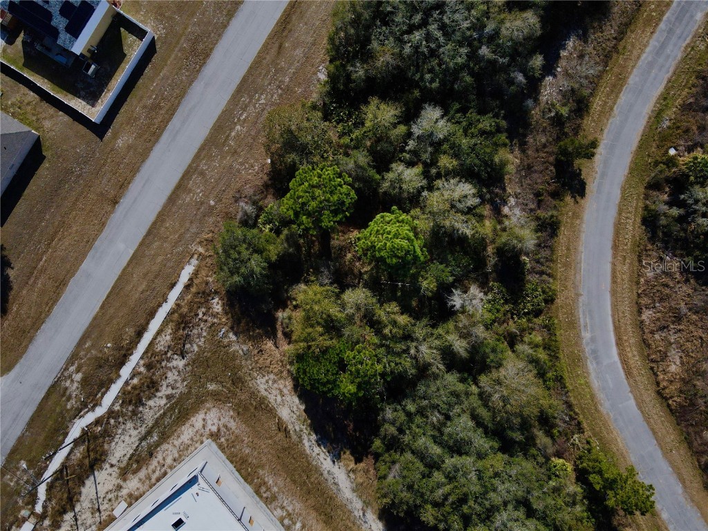 1605 Marlin Drive Poinciana FL 34759 A4632349 image5