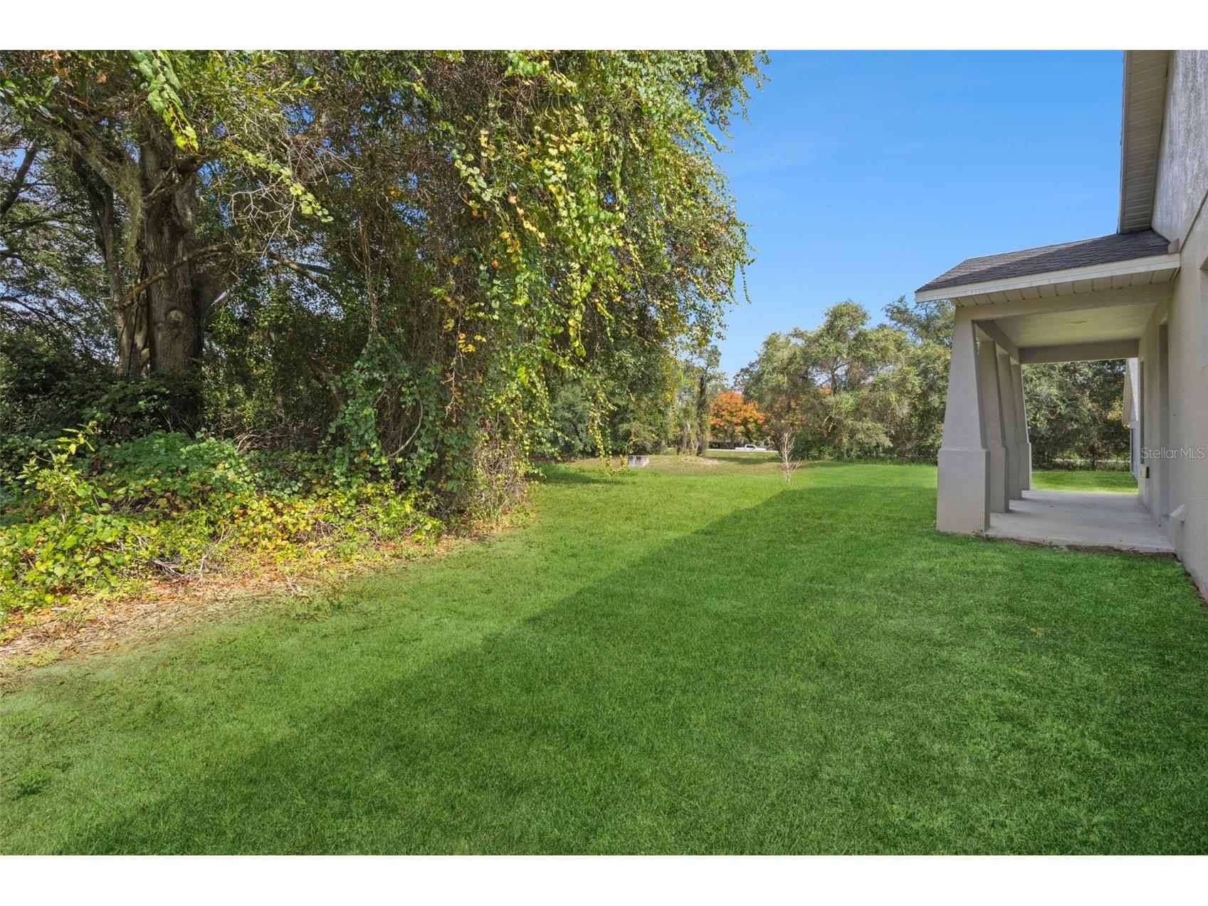 1605 Mayaro Court Mascotte FL 34753 O6354900 image27