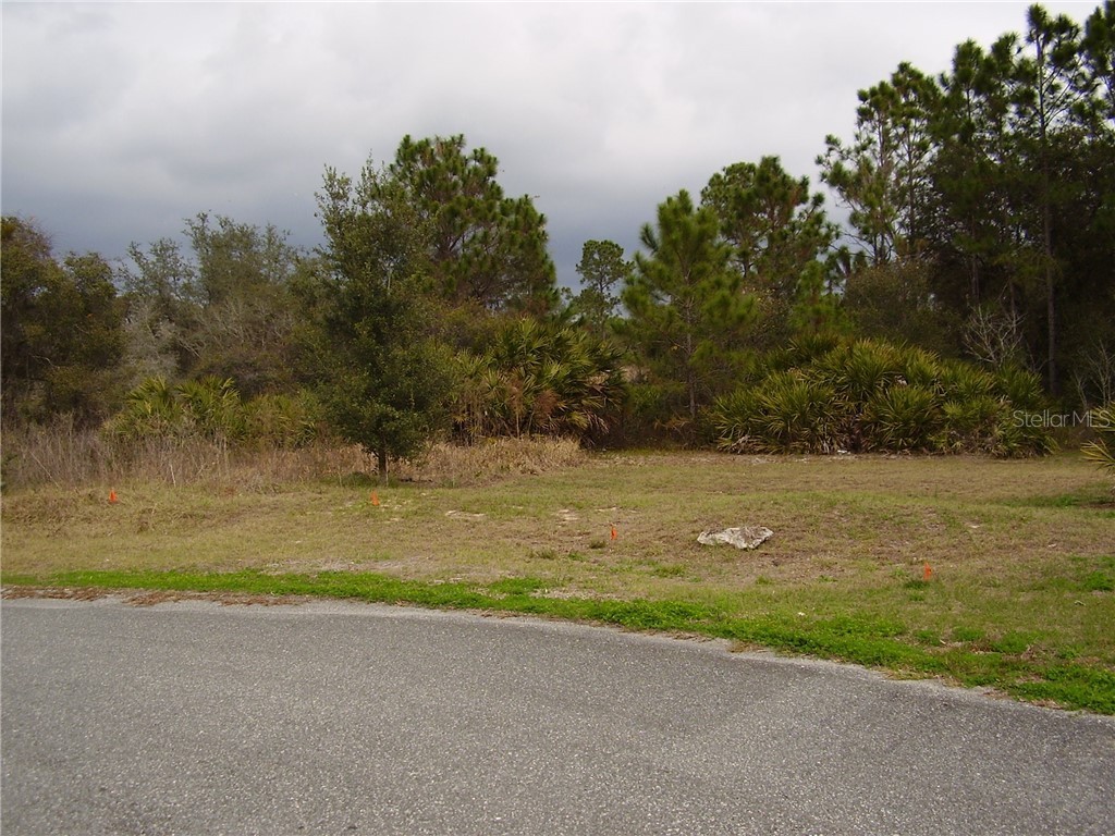 1605 Minnow Lane Kissimmee FL 34759 R4904275 image1