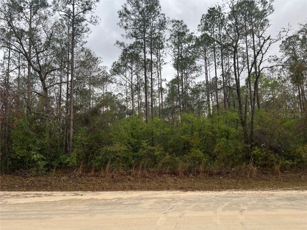 1605 NE 899th Street Old Town FL 32680 TB8361576 image1