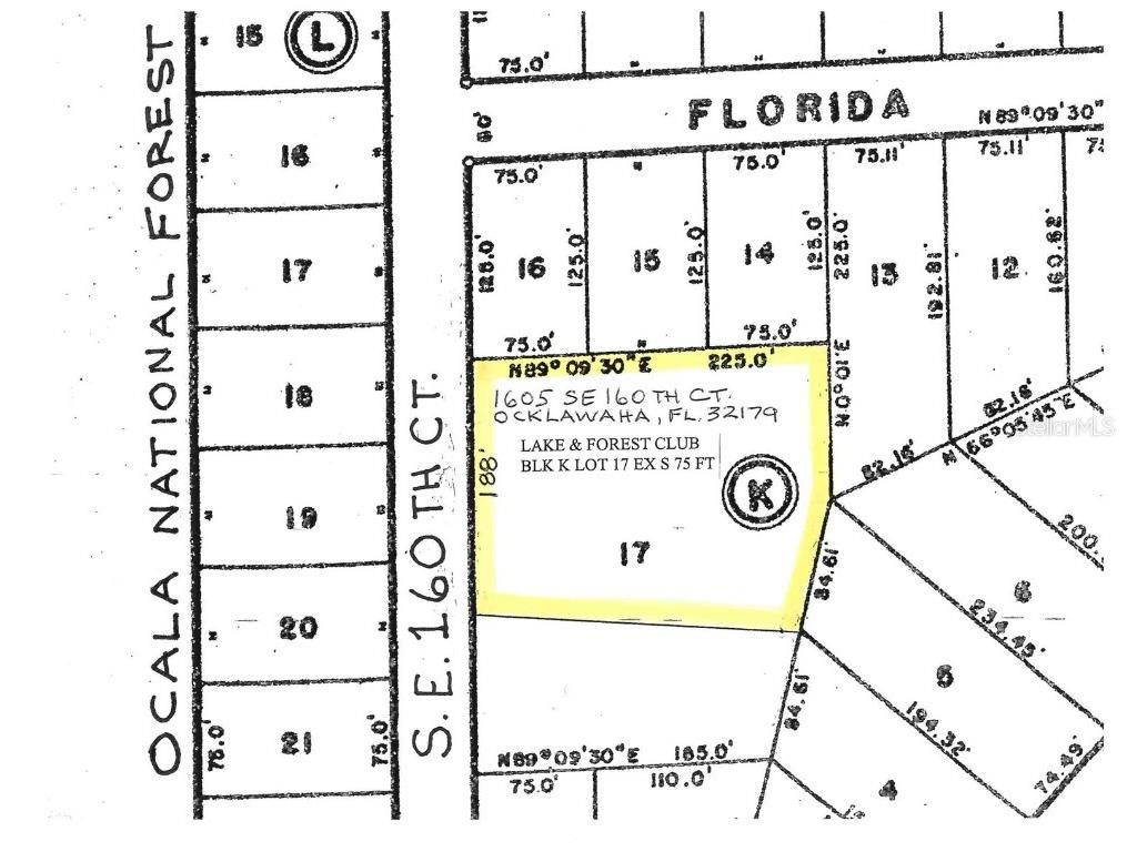 1605 SE 160th Court Ocklawaha FL 32179 - North Lake OM715189 image81