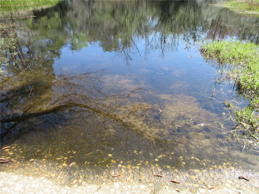 1605 SE 160th Court Ocklawaha FL 32179 - North Lake OM715189 image83