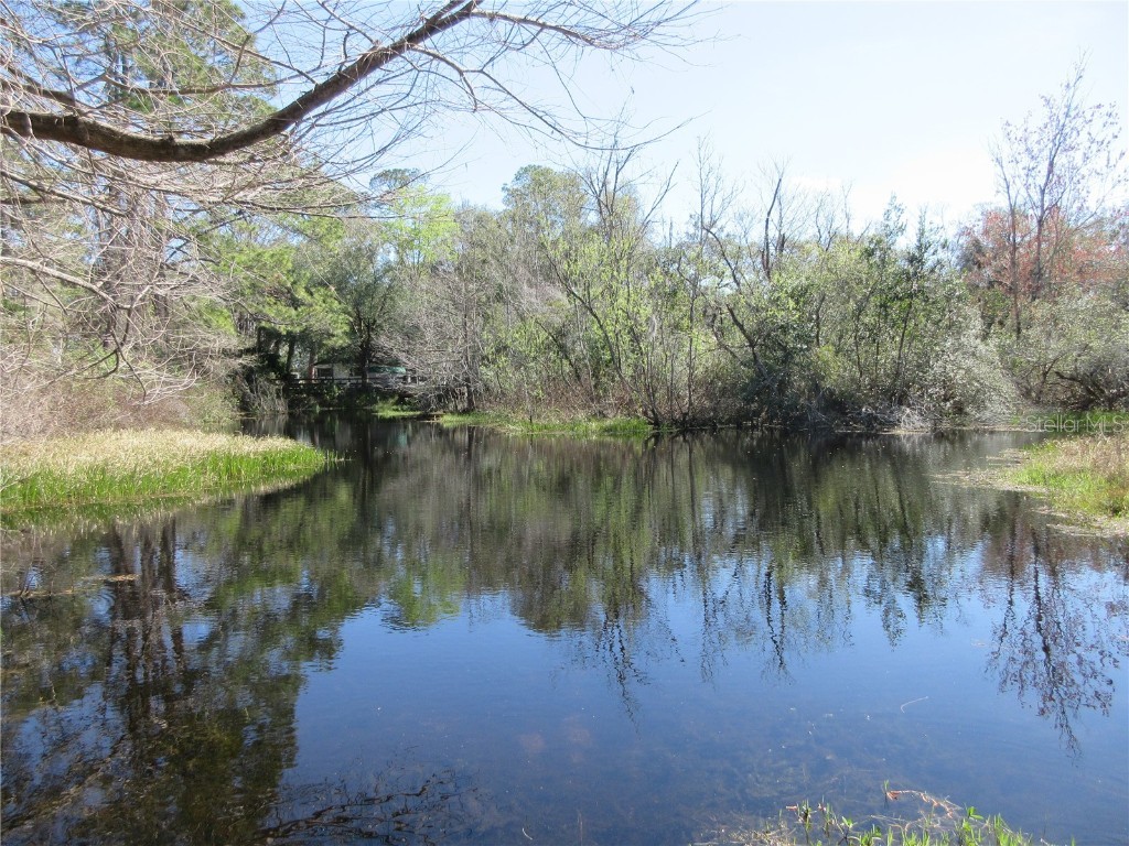 1605 SE 160th Court Ocklawaha FL 32179 - North Lake OM715189 image84