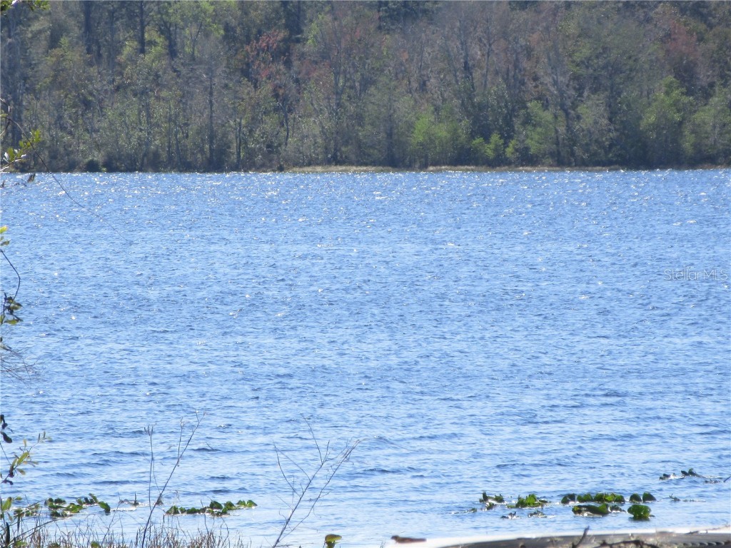 1605 SE 160th Court Ocklawaha FL 32179 - North Lake OM715189 image87