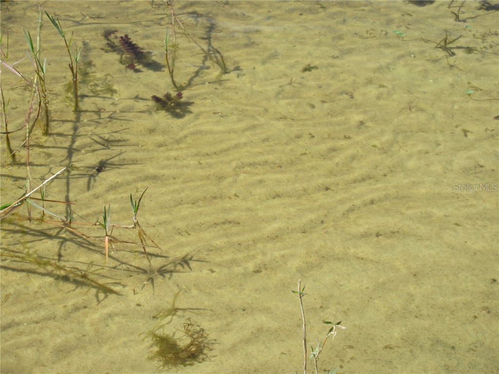 1605 SE 160th Court Ocklawaha FL 32179 - North Lake OM715189 image93