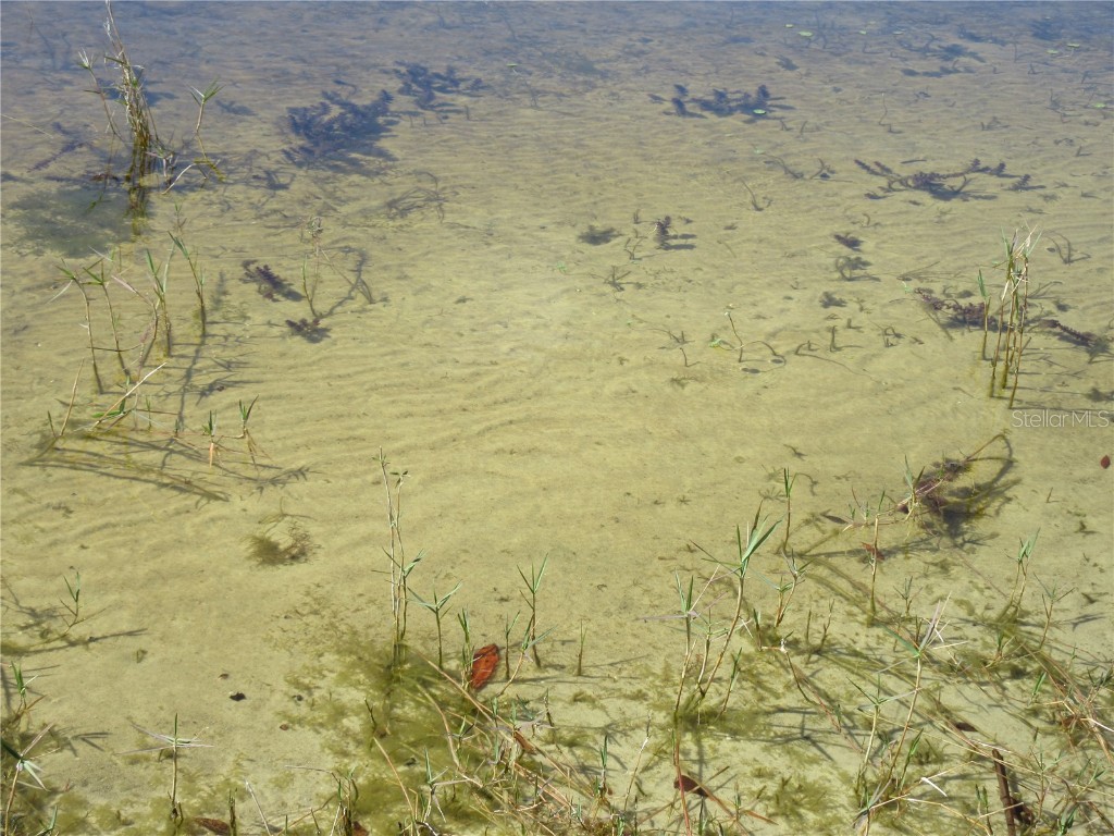 1605 SE 160th Court Ocklawaha FL 32179 - North Lake OM715189 image94