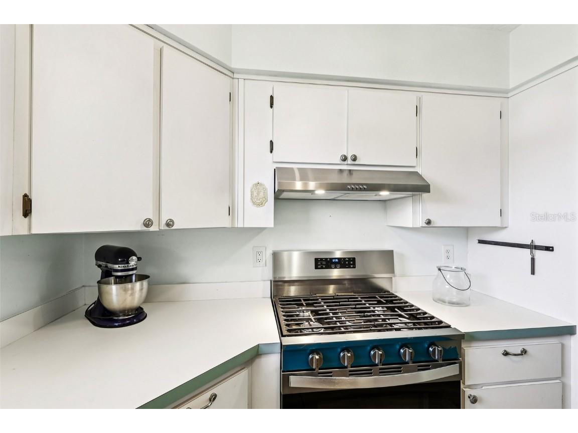 1605 Selkirk Drive Leesburg FL 34788 G5105345 image11