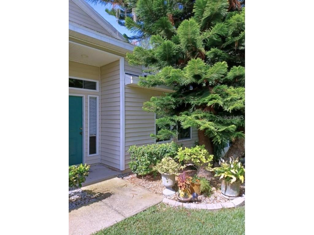 1605 Send Way Lutz FL 33549 - BIRD LAKE TB8392489 image1