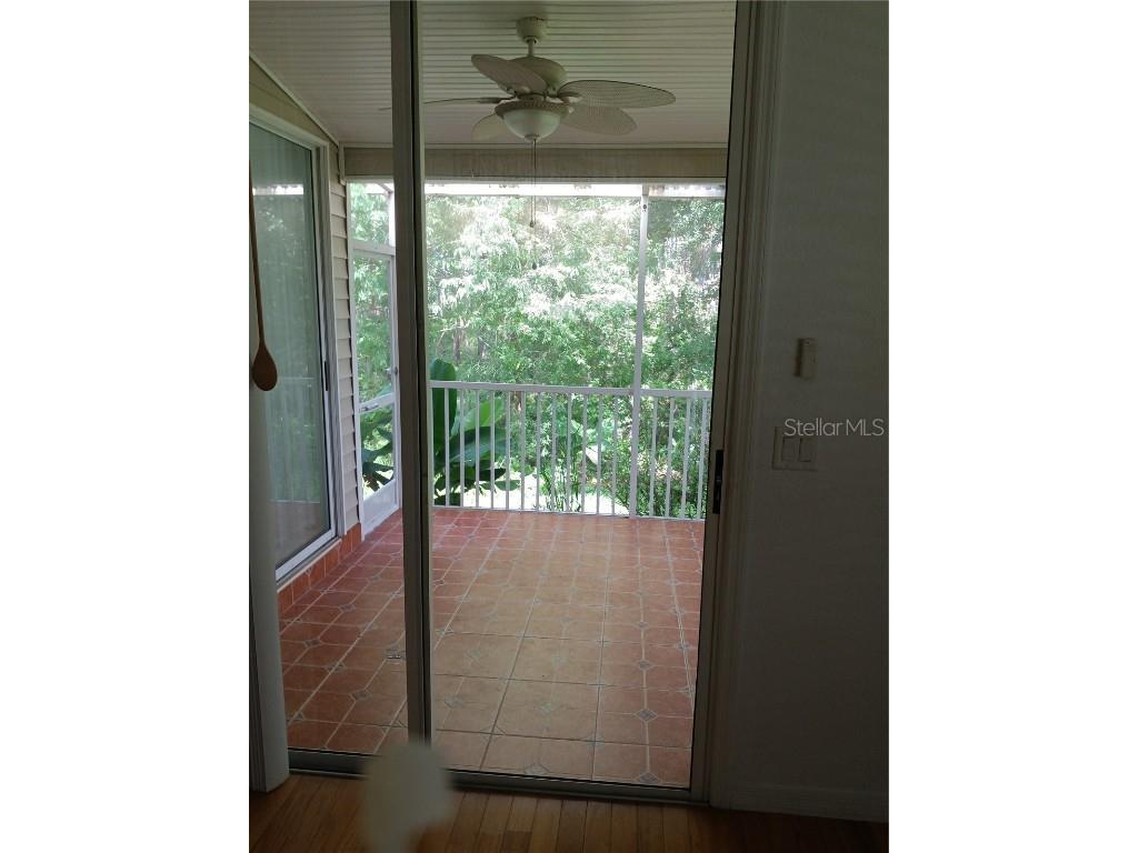 1605 Send Way Lutz FL 33549 - BIRD LAKE TB8392489 image17