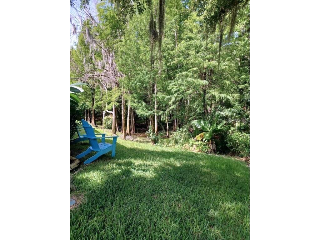 1605 Send Way Lutz FL 33549 - BIRD LAKE TB8392489 image20