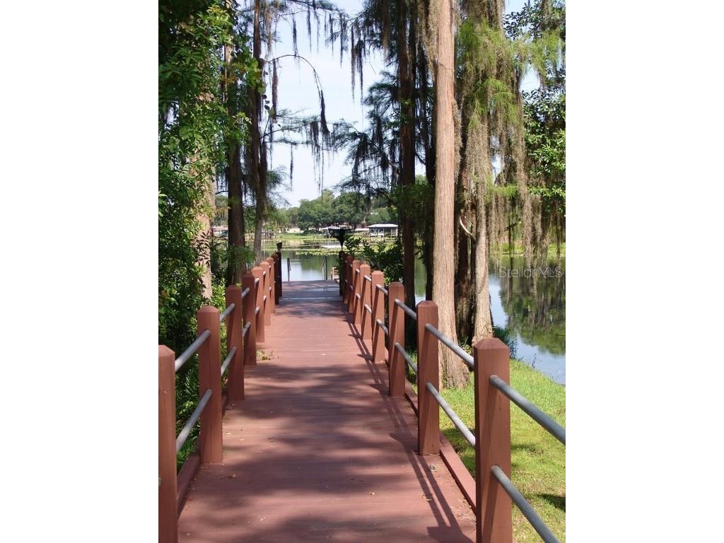 1605 Send Way Lutz FL 33549 - BIRD LAKE TB8392489 image5