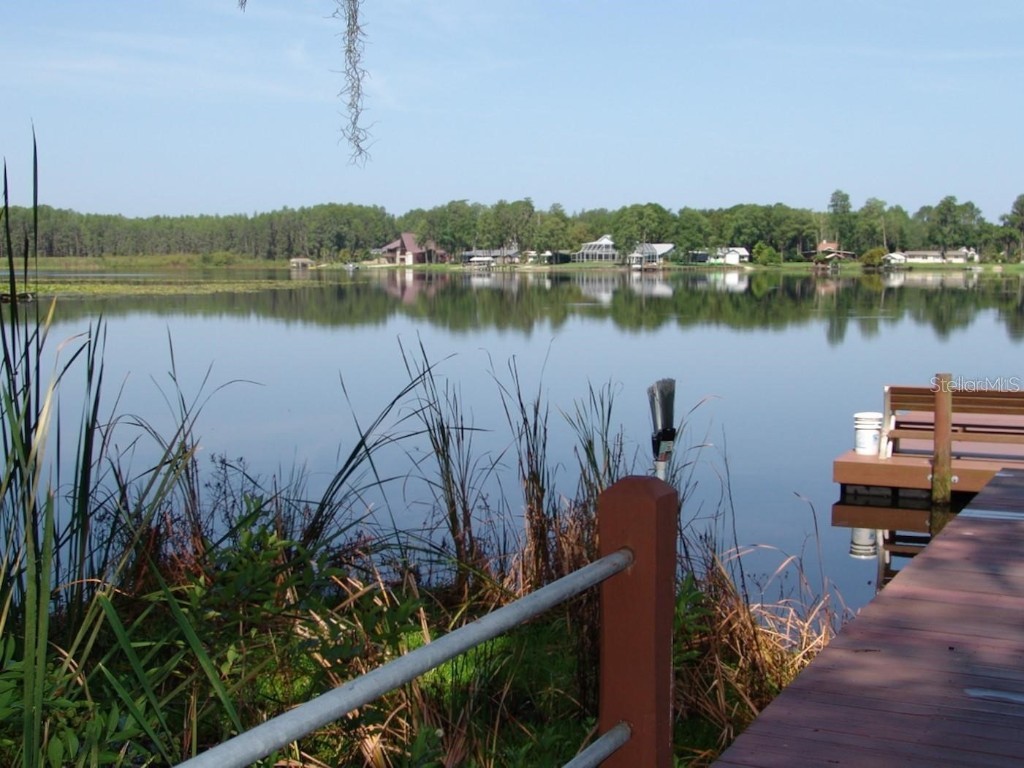 1605 Send Way Lutz FL 33549 - BIRD LAKE TB8392489 image6