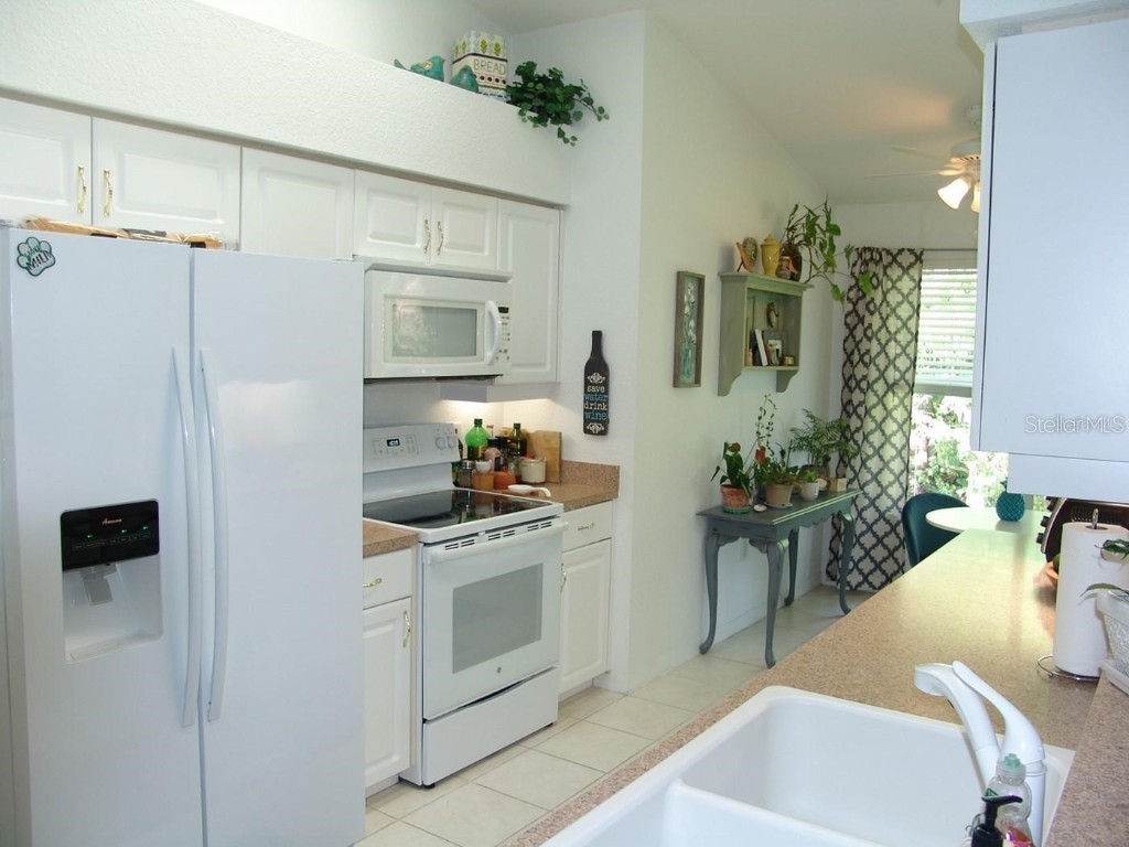 1605 Send Way Lutz FL 33549 - BIRD LAKE TB8392489 image8