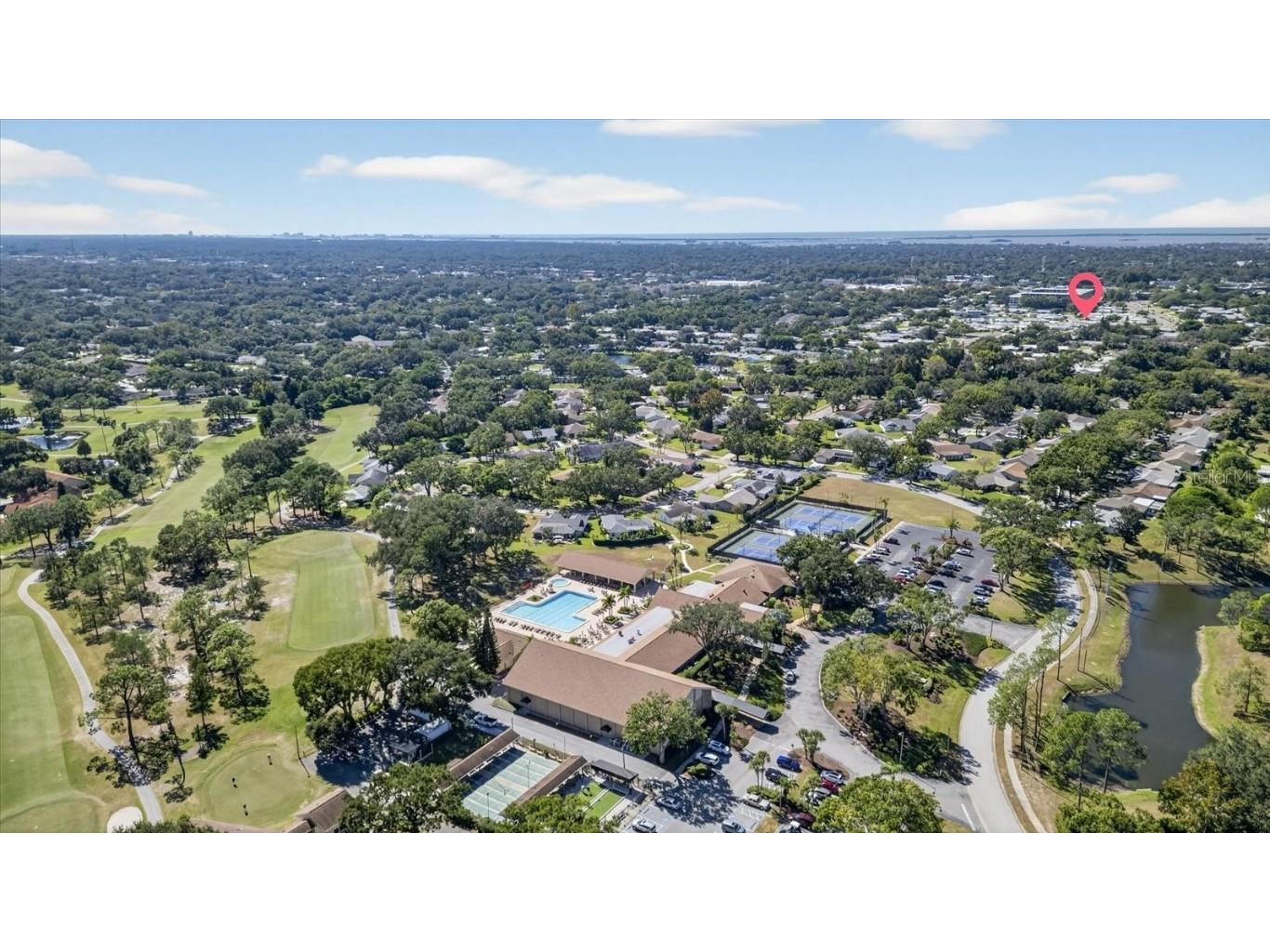 1605 Whitebridge Drive #B Palm Harbor FL 34684 TB8444503 image3