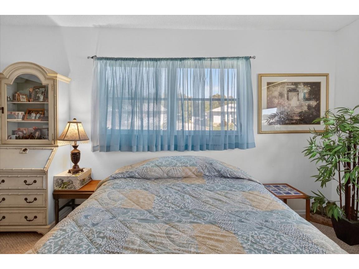 1605 Whitebridge Drive #B Palm Harbor FL 34684 TB8444503 image30