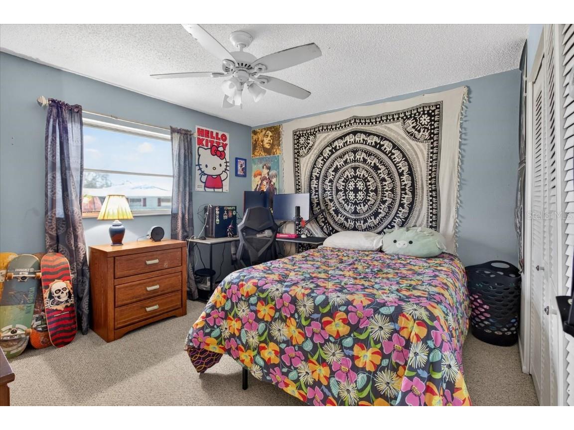 1605 Whitebridge Drive #B Palm Harbor FL 34684 TB8444503 image35