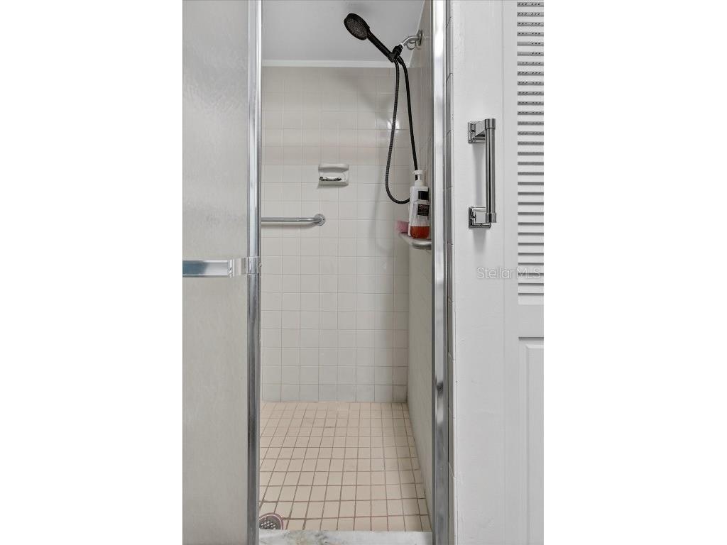 1605 Whitebridge Drive #B Palm Harbor FL 34684 TB8444503 image37