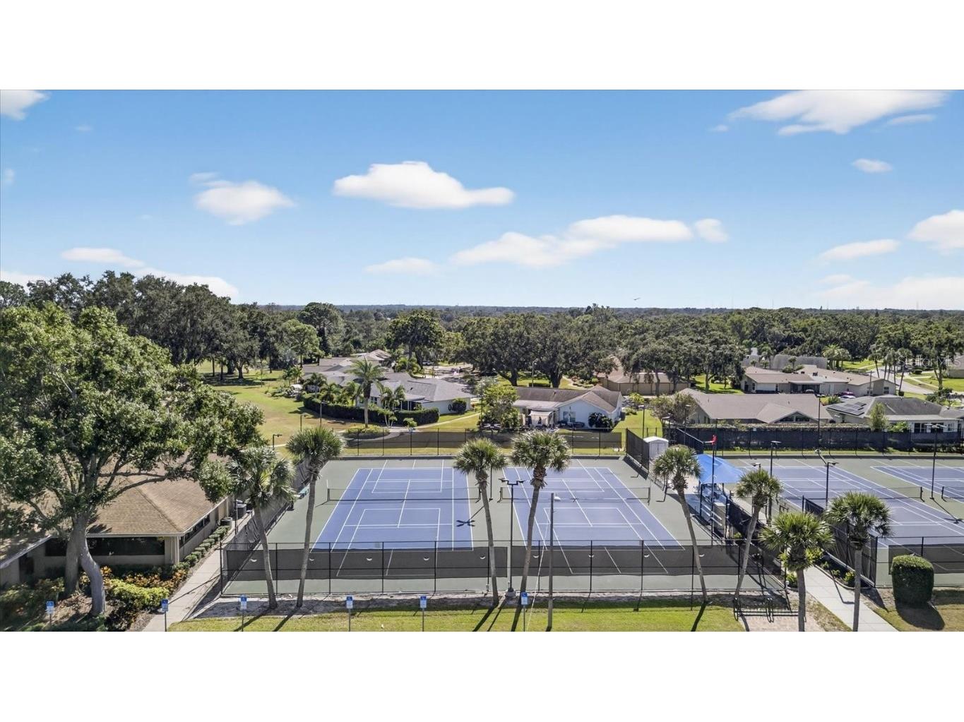 1605 Whitebridge Drive #B Palm Harbor FL 34684 TB8444503 image44