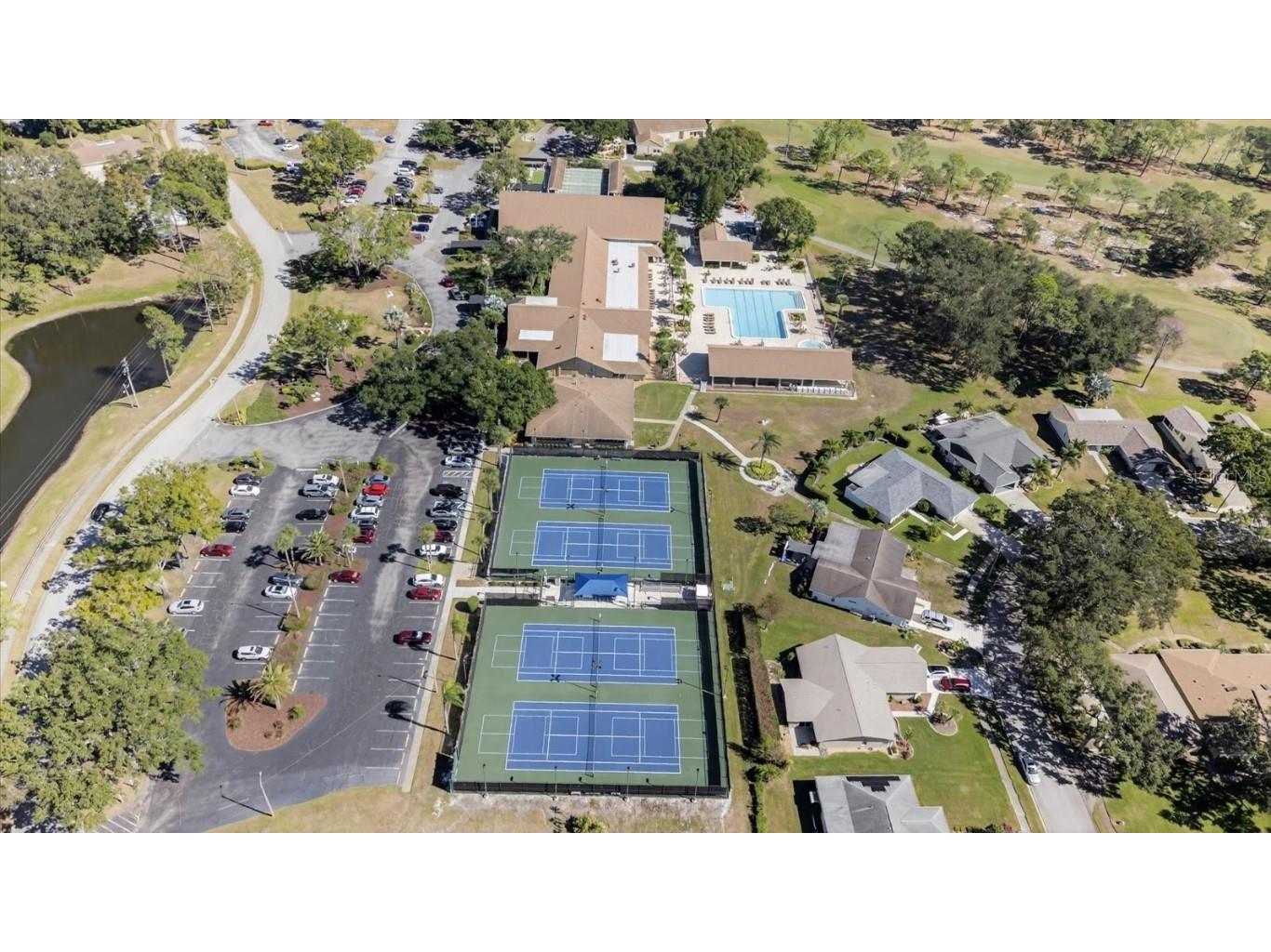 1605 Whitebridge Drive #B Palm Harbor FL 34684 TB8444503 image46