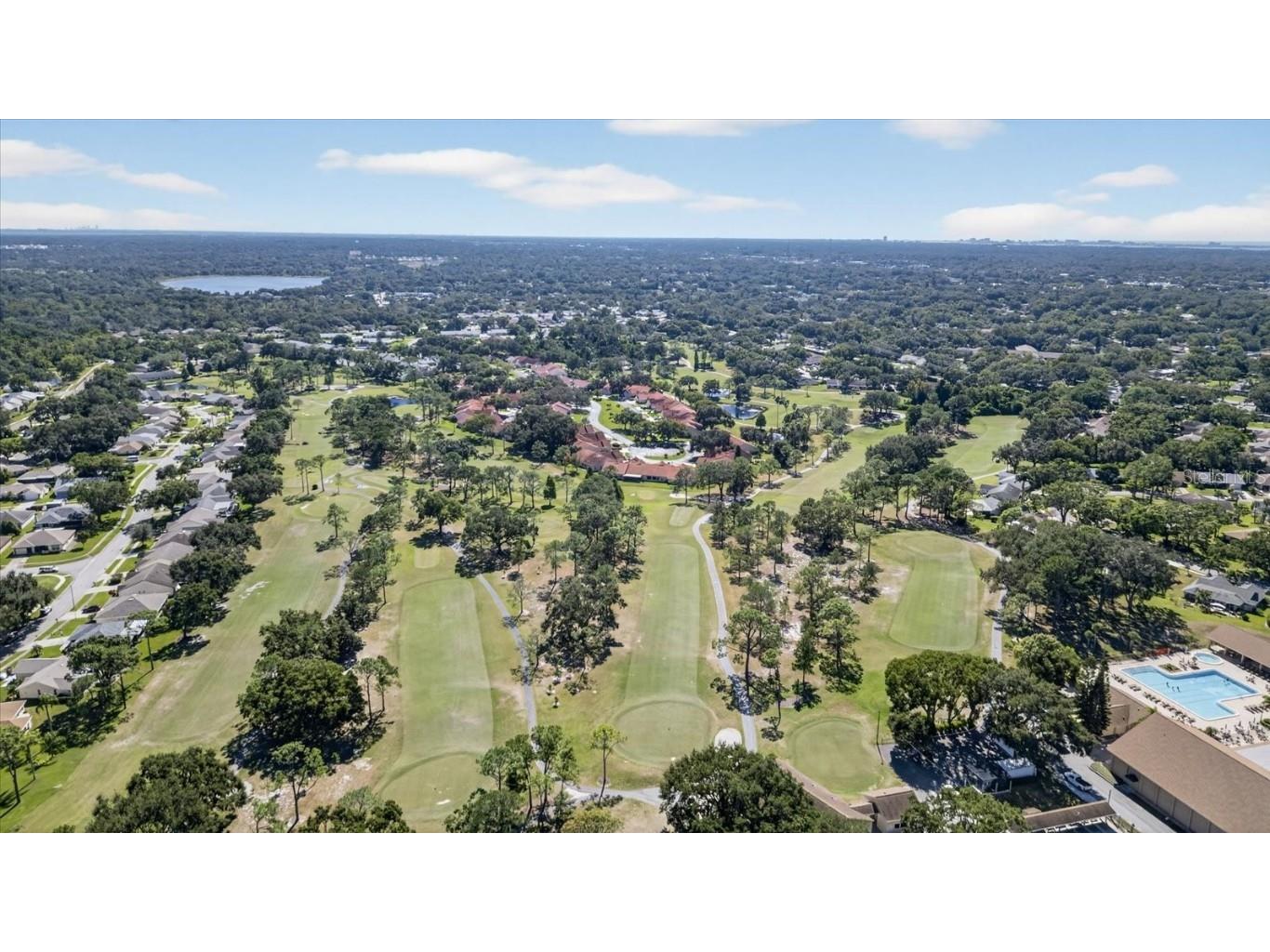 1605 Whitebridge Drive #B Palm Harbor FL 34684 TB8444503 image47