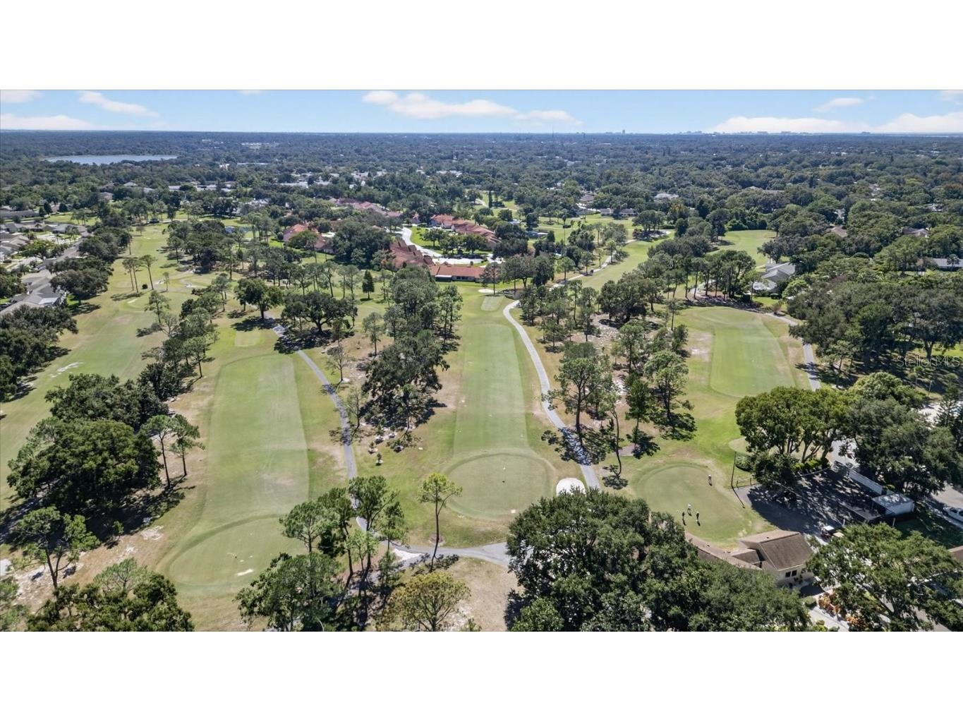 1605 Whitebridge Drive #B Palm Harbor FL 34684 TB8444503 image49