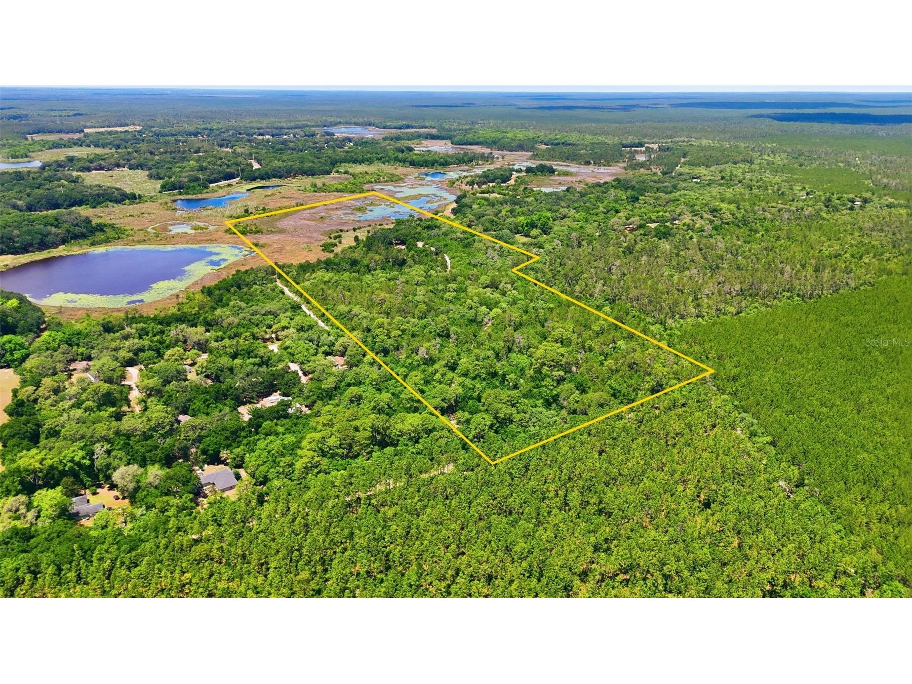16050 SE 275th Avenue Umatilla FL 32784 - NICOTOON LAKE G5111748 image1