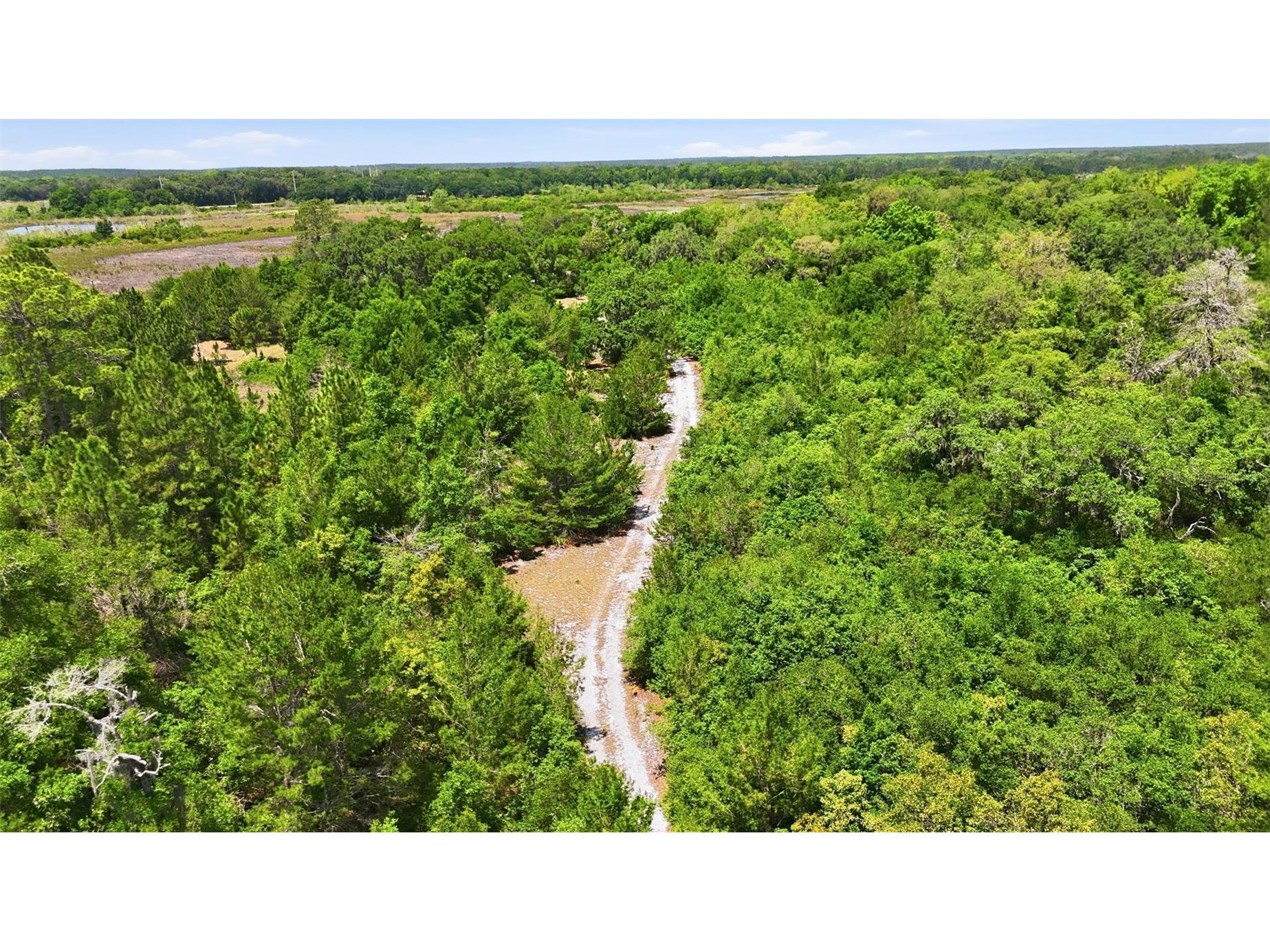 16050 SE 275th Avenue Umatilla FL 32784 - NICOTOON LAKE G5111748 image10