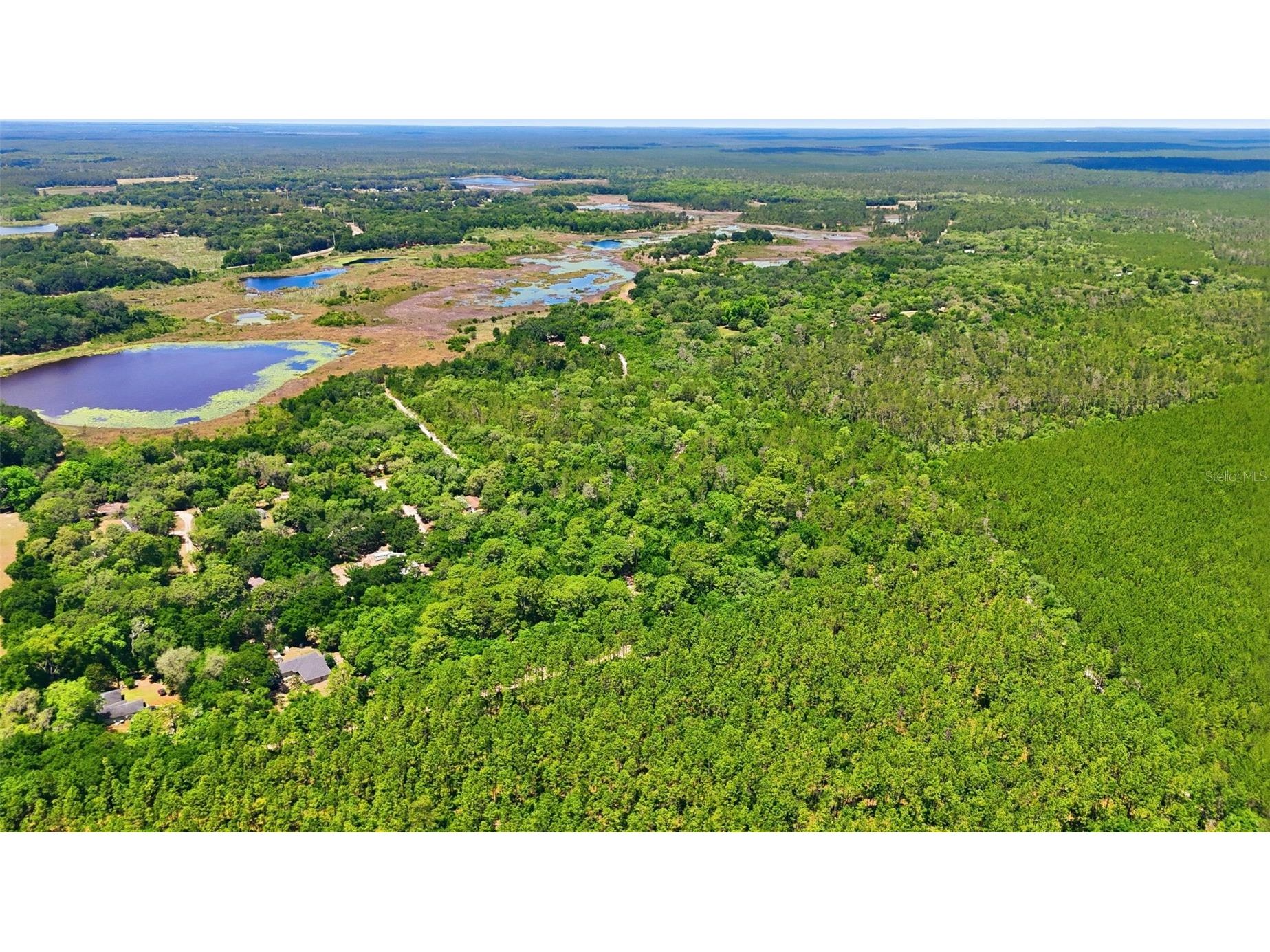 16050 SE 275th Avenue Umatilla FL 32784 - NICOTOON LAKE G5111748 image12