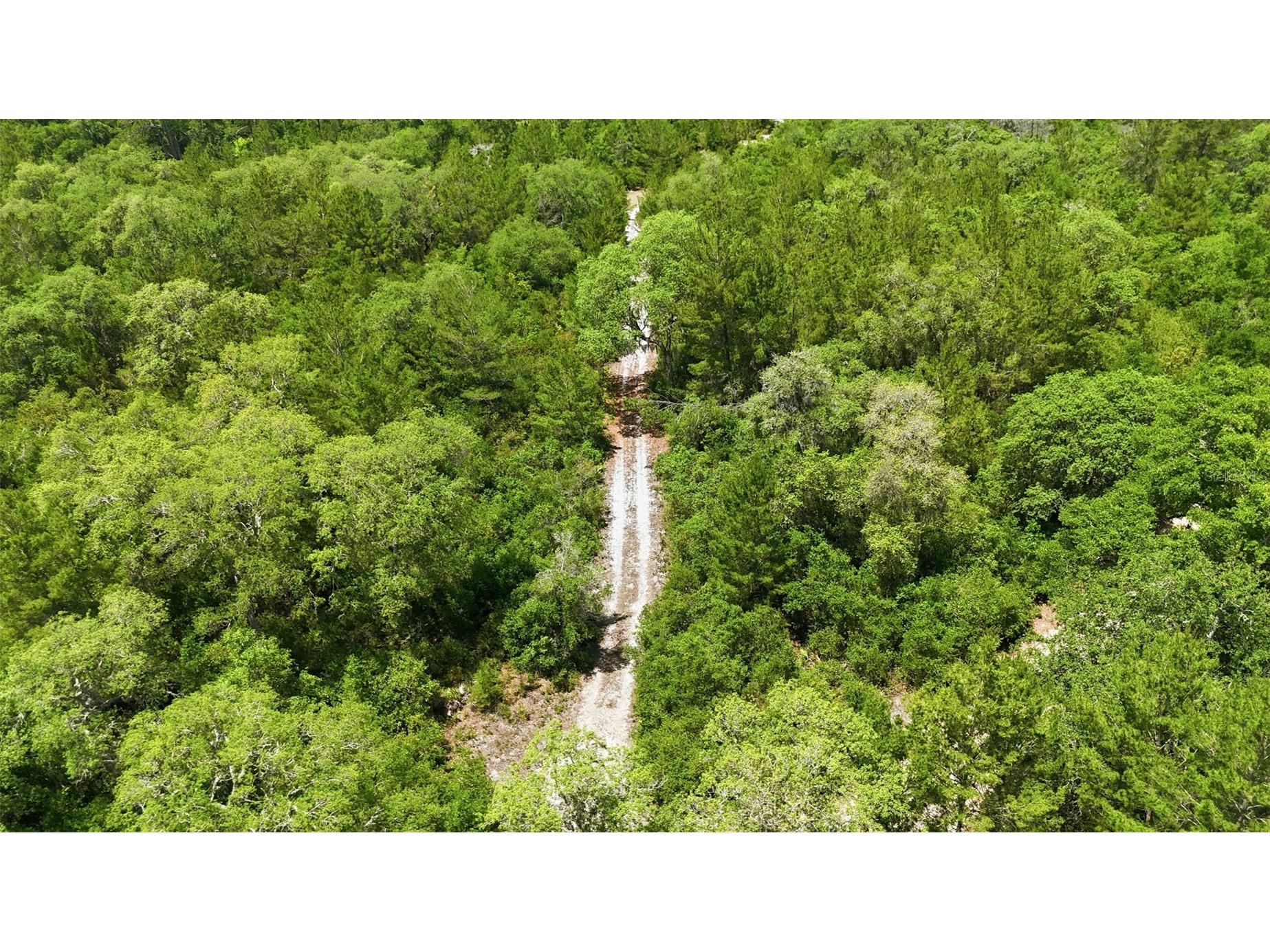 16050 SE 275th Avenue Umatilla FL 32784 - NICOTOON LAKE G5111748 image3