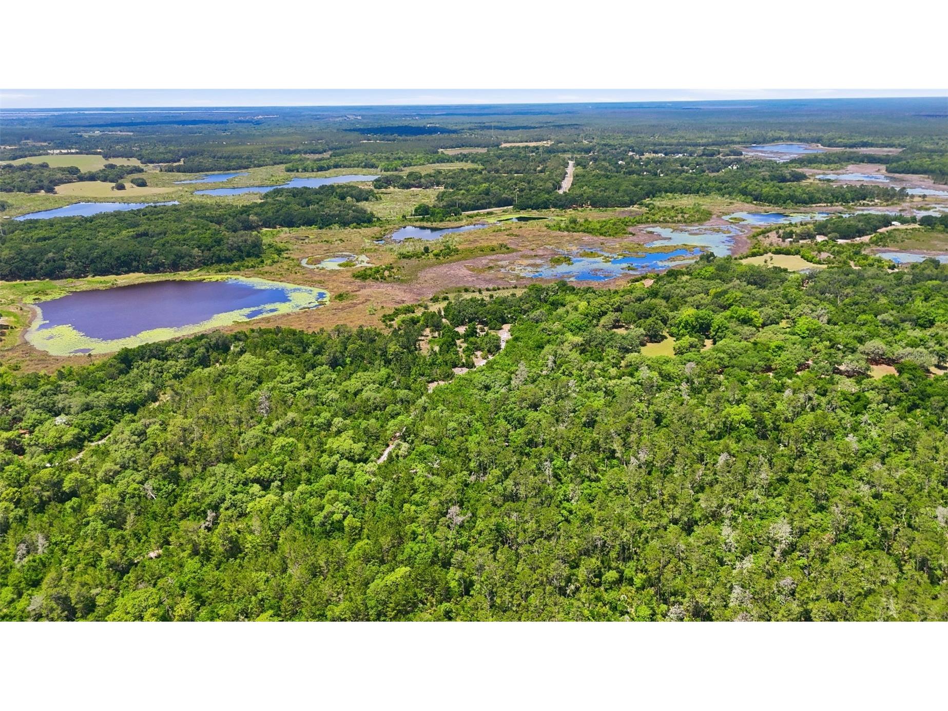 16050 SE 275th Avenue Umatilla FL 32784 - NICOTOON LAKE G5111748 image8