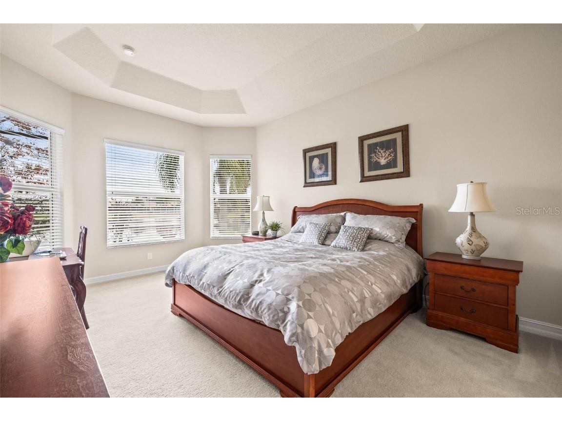 16051 Golden Lakes Drive Wimauma FL 33598 TB8446495 image21